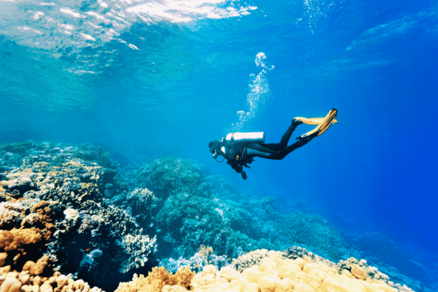 Best diving sites in Spain